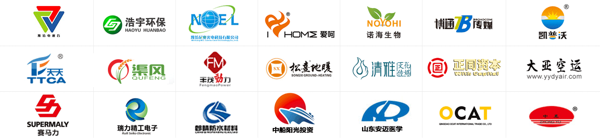 濰坊網(wǎng)站建設公司